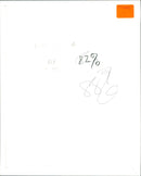 Flying bird - Vintage Photograph