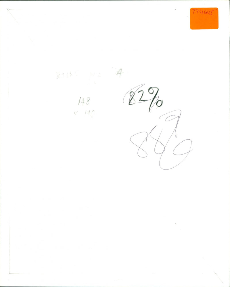 Flying bird - Vintage Photograph