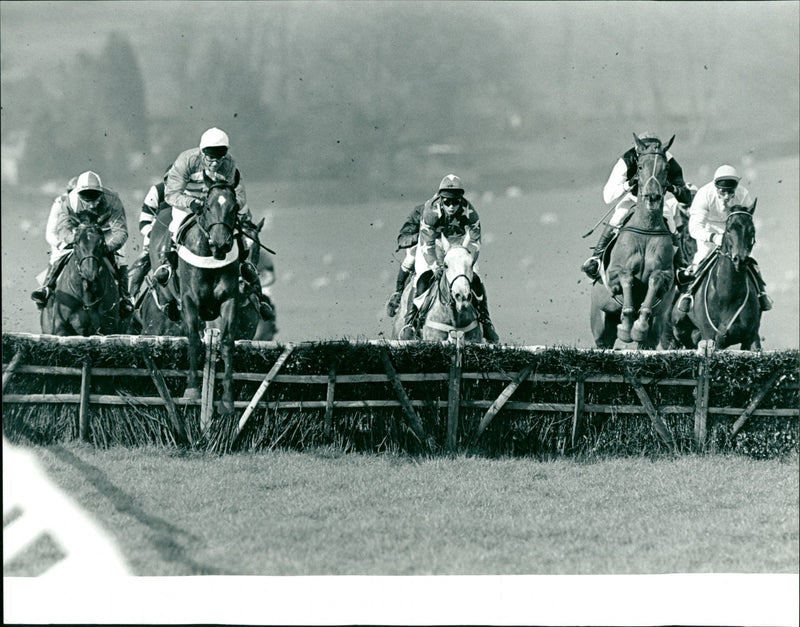 The Hare and Hound Novices Hurdle - Vintage Photograph