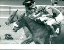 Tote Gold Trophy Handicap Hurdle - Vintage Photograph