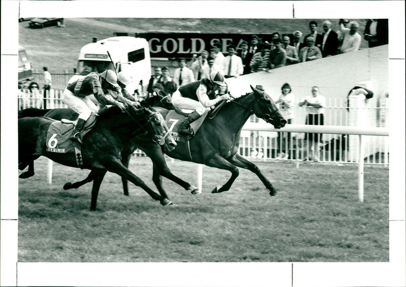 Horse Racing - Vintage Photograph