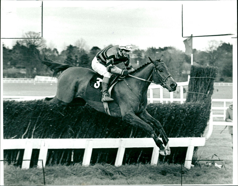 Carvill's Hill - Vintage Photograph