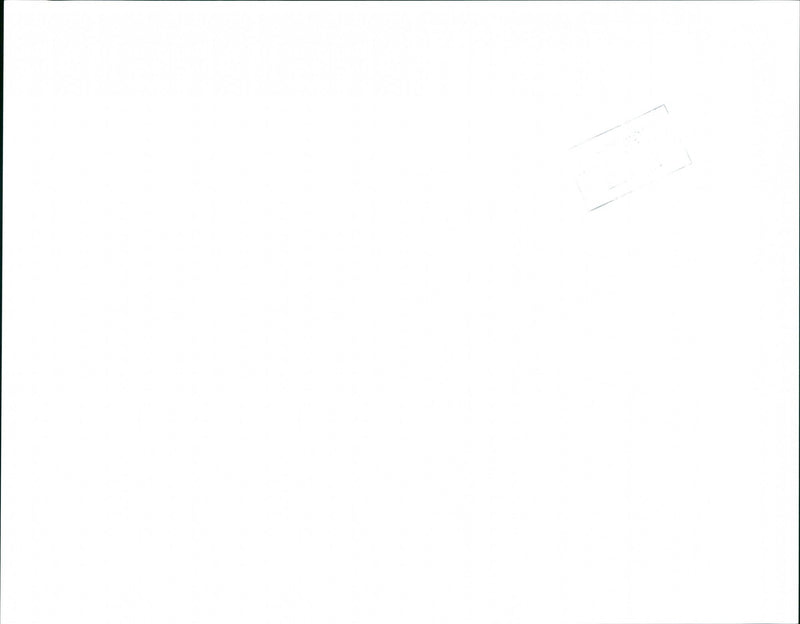 Concertinas - Vintage Photograph