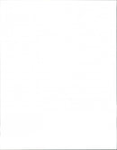 Seal - Vintage Photograph