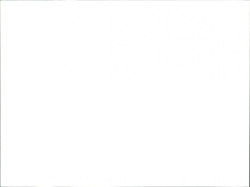 Seal - Vintage Photograph