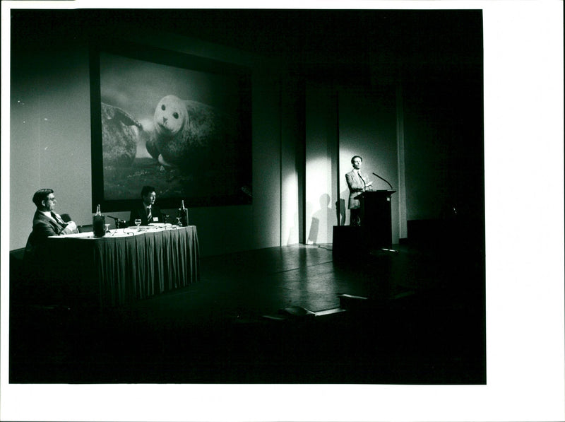 Seal - Vintage Photograph