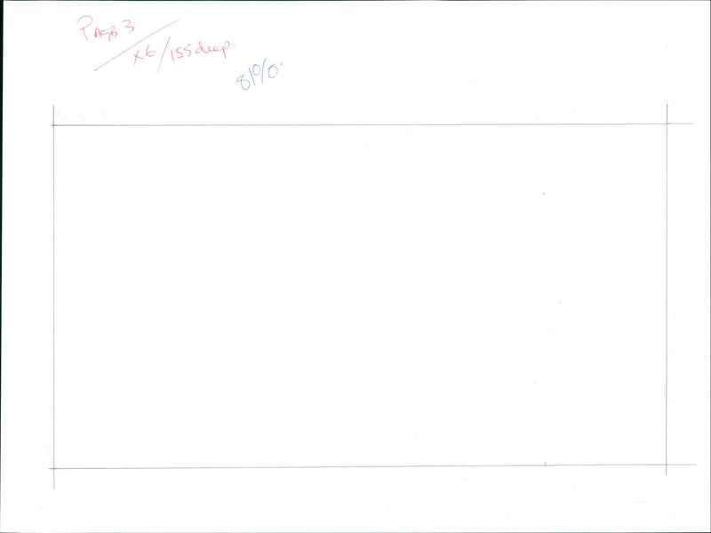 Seals - Vintage Photograph