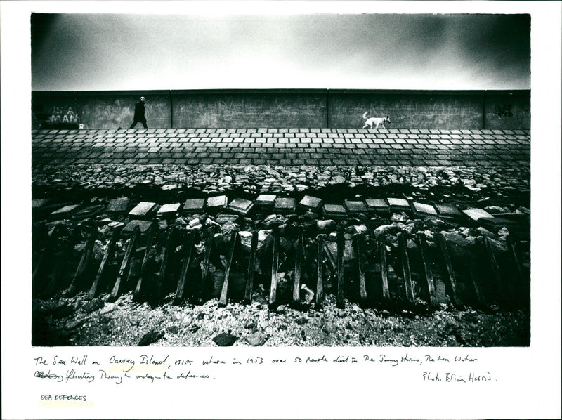 Sea Defences - Vintage Photograph