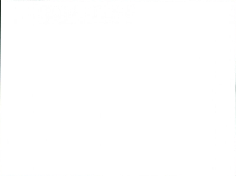 SINN FIN CONFERENCR IBN FEB - BY DAVID ROSE, MEMBERS - Vintage Photograph