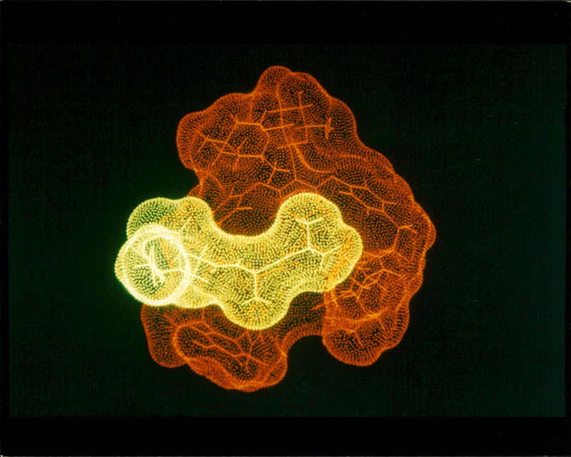 Modelling of Vancomycin - Vintage Photograph
