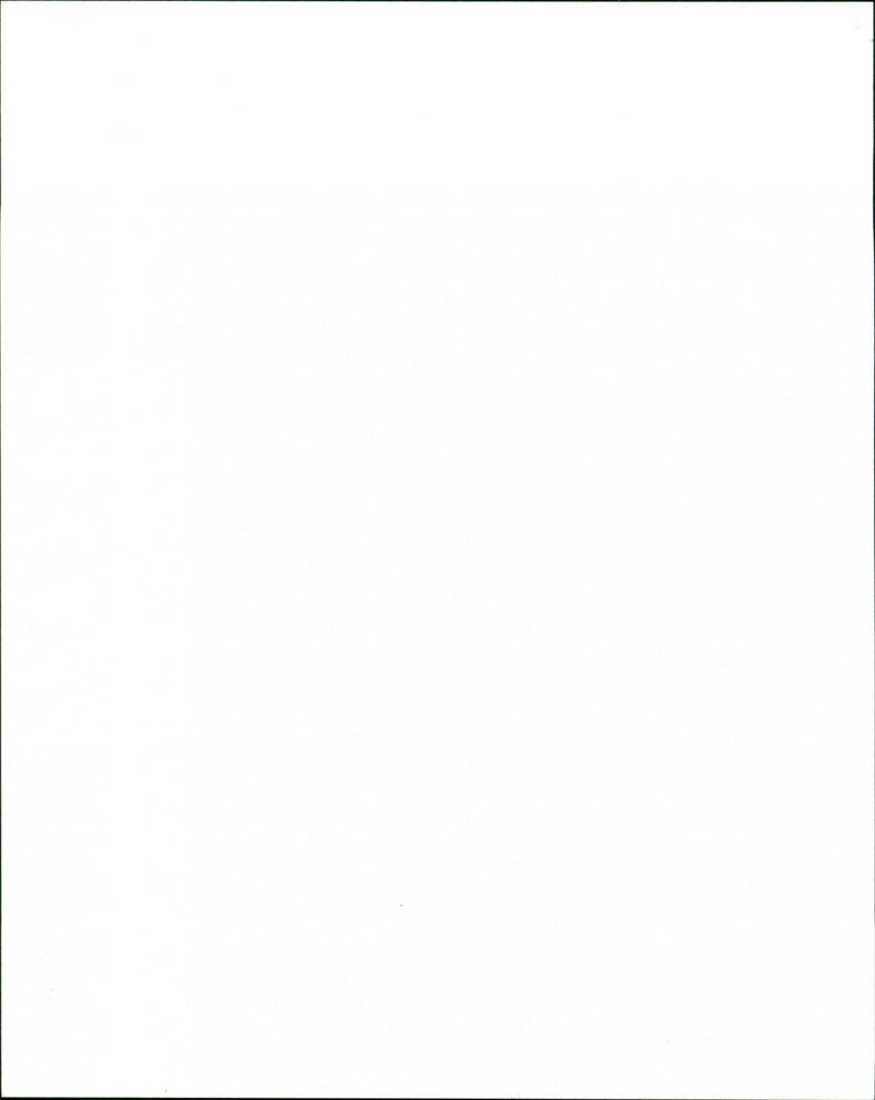 Bird painting - Vintage Photograph