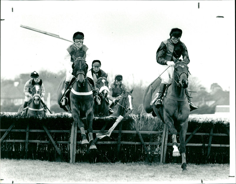 The Dovecote Novices Hurdle - Vintage Photograph