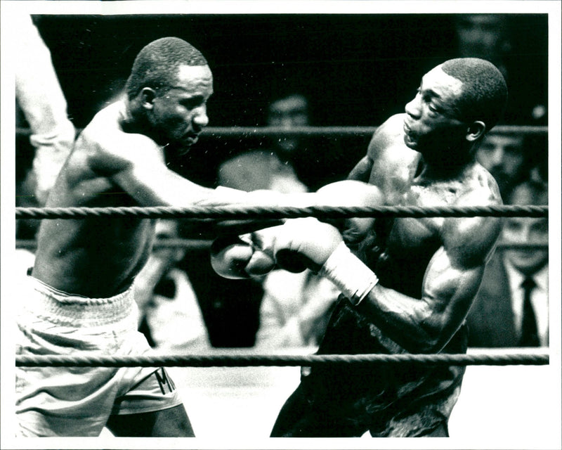 Boxing - Vintage Photograph