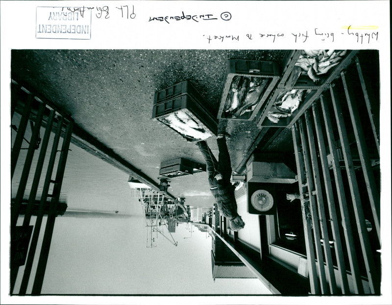 BRING FUCK WHETBY WHERE, HUMAN, INDEPENDENT - Vintage Photograph