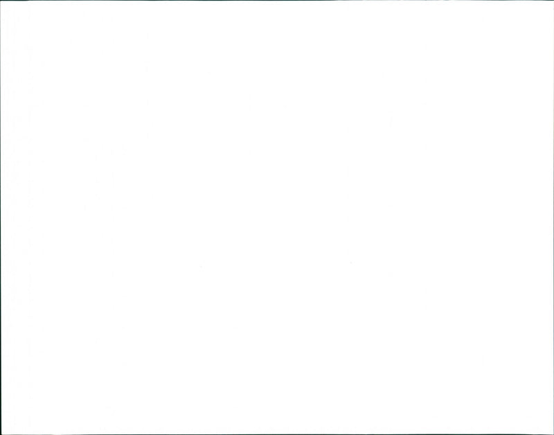 The Wildfowl and Wetlands Trust, Wetland Centre - Vintage Photograph