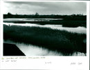 The Wildfowl and Wetlands Trust, Wetland Centre - Vintage Photograph