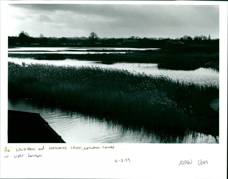 The Wildfowl and Wetlands Trust, Wetland Centre - Vintage Photograph
