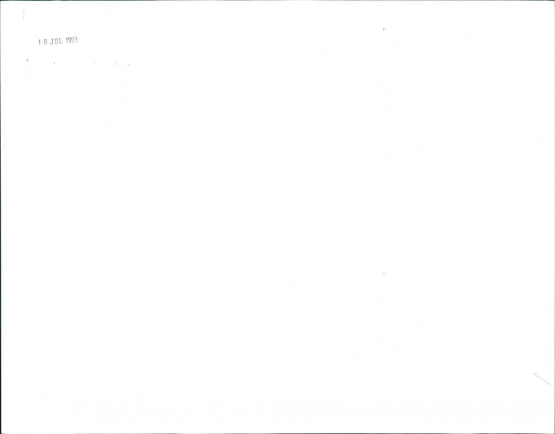 German Officer - Vintage Photograph