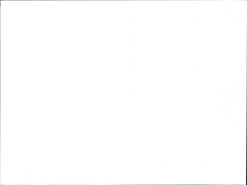 Seals - Vintage Photograph