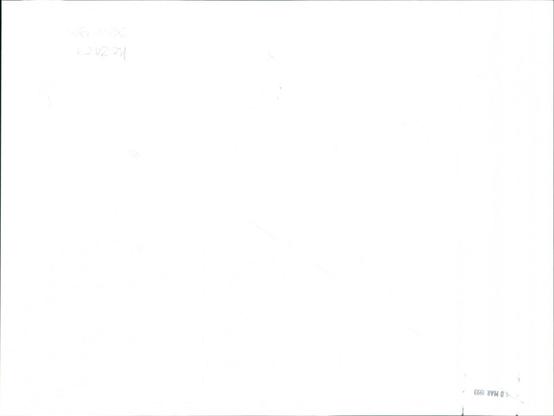 Sea Defences - Vintage Photograph