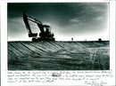 Sea Defences - Vintage Photograph