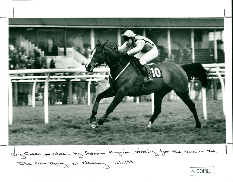 King Credo, ridden by Adrian Maguire - Vintage Photograph