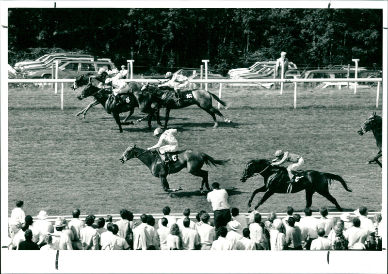 Horse Riding. - Vintage Photograph