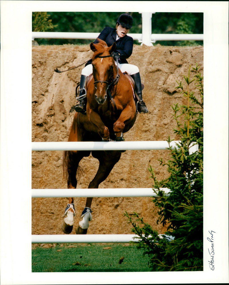 Show Jumping - Vintage Photograph