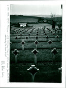 WWI - Vintage Photograph