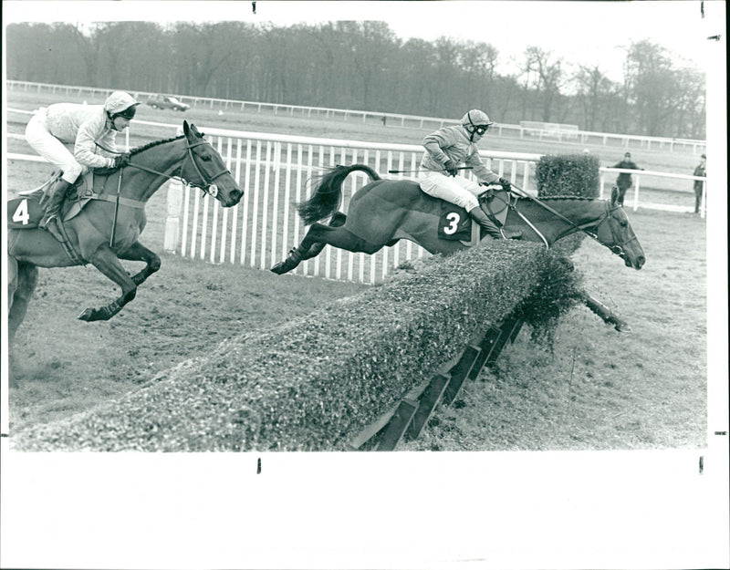 The Timeform Chase - Vintage Photograph