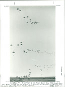 Army Exercises - Vintage Photograph