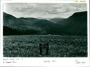 Lake District - Vintage Photograph