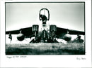 Jaguar Plane - Vintage Photograph