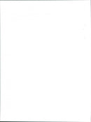 Belle Isle - Vintage Photograph