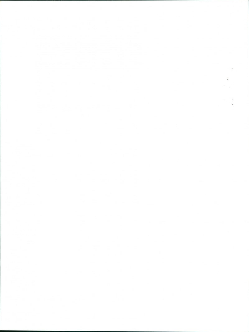 Belle Isle - Vintage Photograph