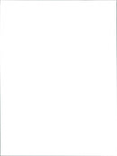 Panda - Vintage Photograph