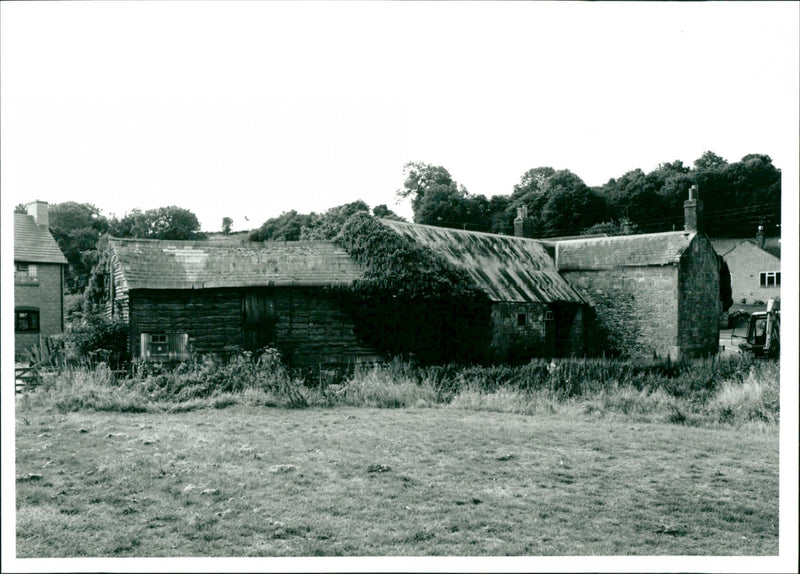 The Old Mill - Vintage Photograph
