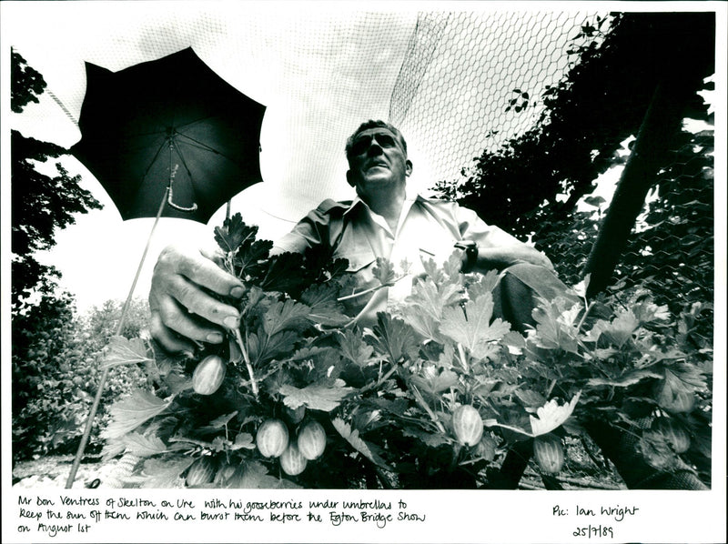 1989 - THESDAY ST ANGUST BY WRIGHT IAN SKELTON, SHOW - Vintage Photograph