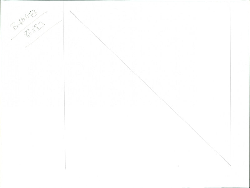 3 ??
TIN MINING - Vintage Photograph