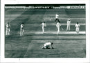 Cricket - Vintage Photograph