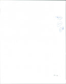 TURTLES and glass fibre The animals very quickly get used to them , and will pro - Vintage Photograph