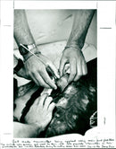 TURTLES and glass fibre The animals very quickly get used to them , and will pro - Vintage Photograph