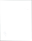 Netherlands Floods - Vintage Photograph