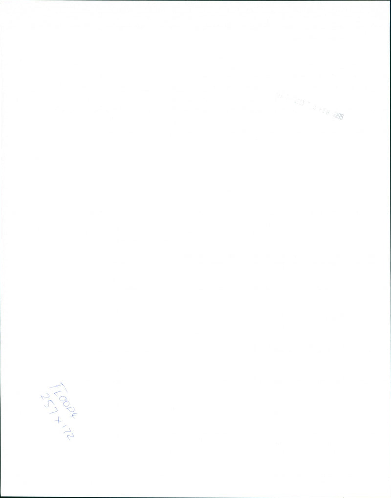 Netherlands Floods - Vintage Photograph