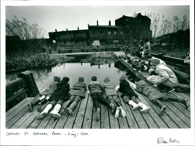 Camley Street Natural Park - Vintage Photograph