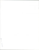 1991 - WHDMSDAY V CHECKED BUCKINGHAM TOM, WALES - Vintage Photograph