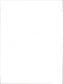 Rap Concert. - Vintage Photograph