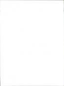 Rap Concert. - Vintage Photograph