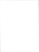 Rap Concert. - Vintage Photograph