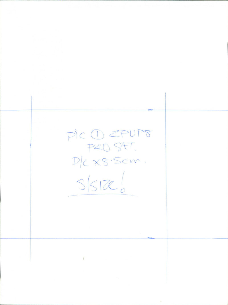 Nature - Vintage Photograph